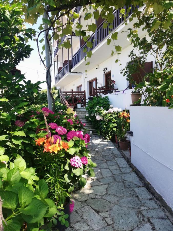 Hotel Erato ホレフト エクステリア 写真